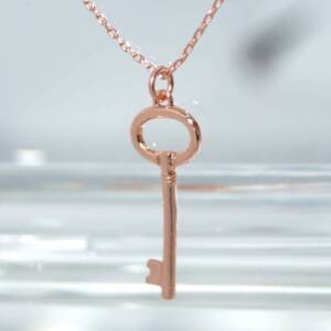 RI01064þCOLLIER CLÉF ROSE
