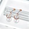 SX00943þBoucle Rond Rose Brio