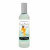 EC00071þPunch Planteur - Parfum D’Ambiance Spray 100ml