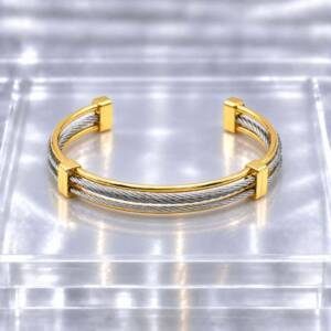 NJ00840þBracelet Homme Jonc Double Ligne Or & Argent