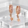 DV02091EþBoucle Créoles Rosé Etoile